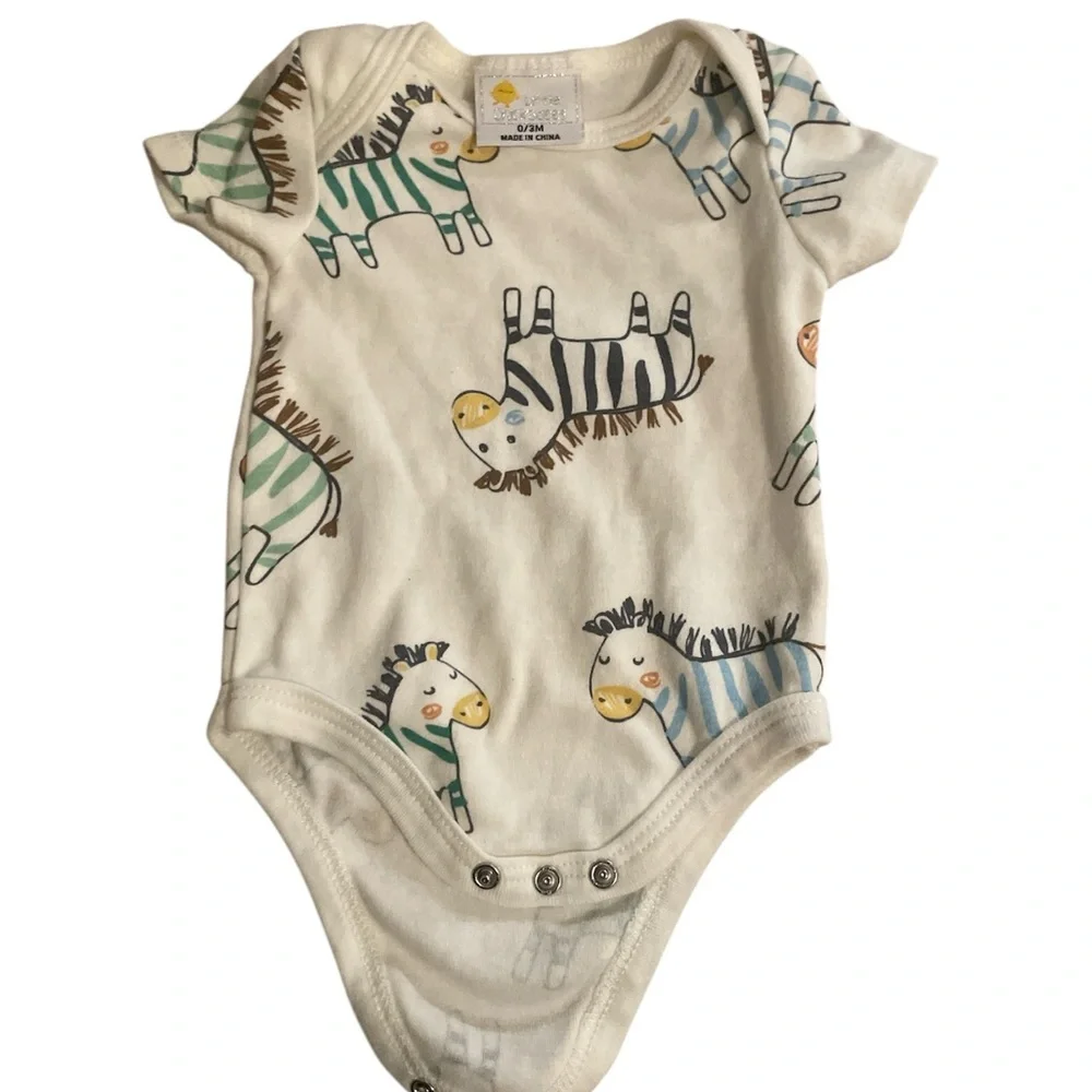 little chicadee bodysuit set